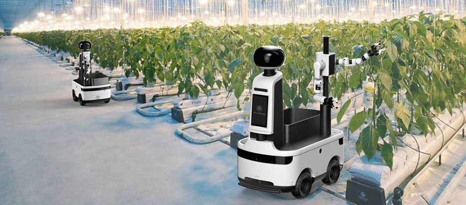 Agricultural cooperative robot